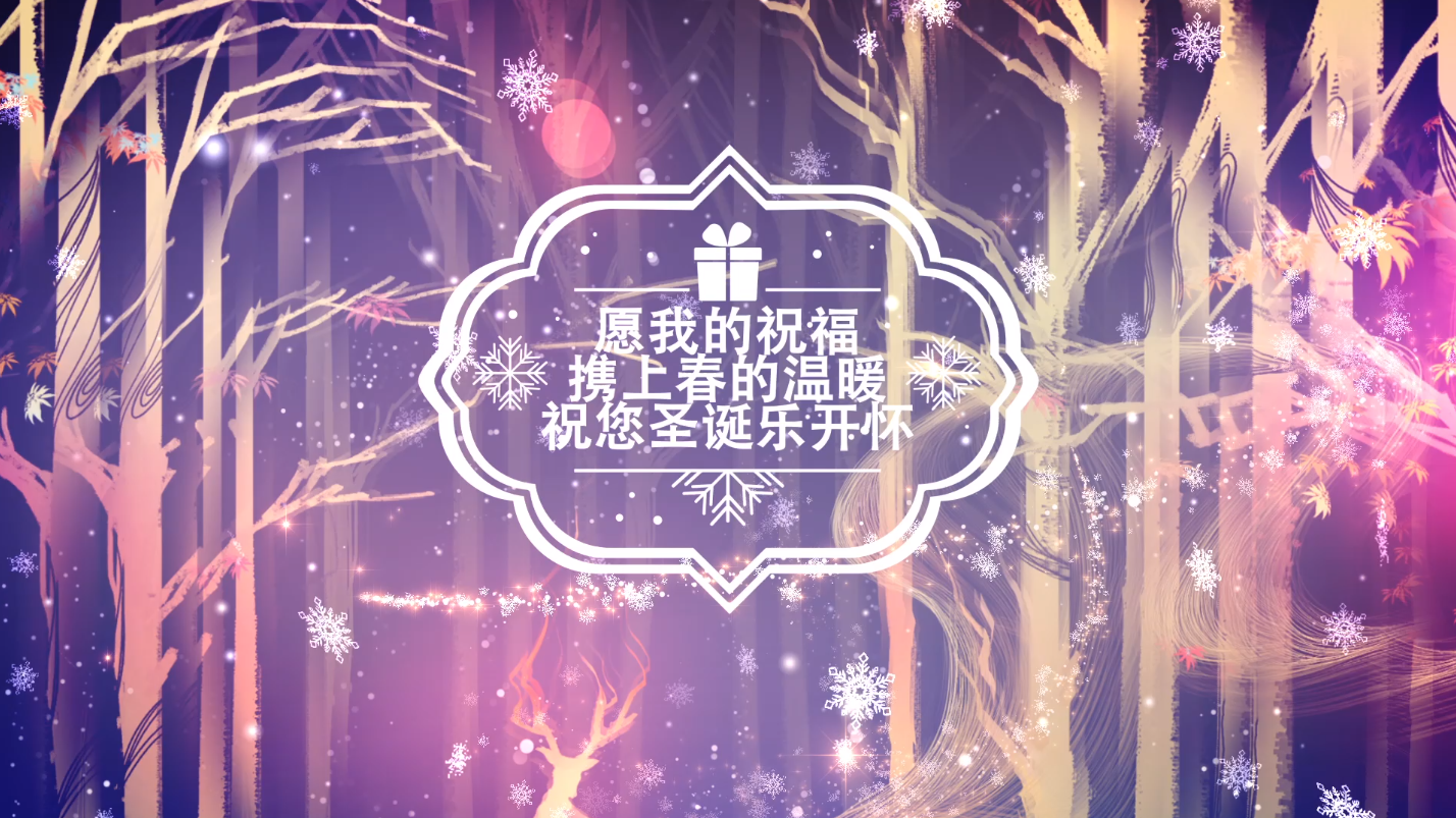 冬季雪花粒子新年标志徽章展示AE模板视频的预览图