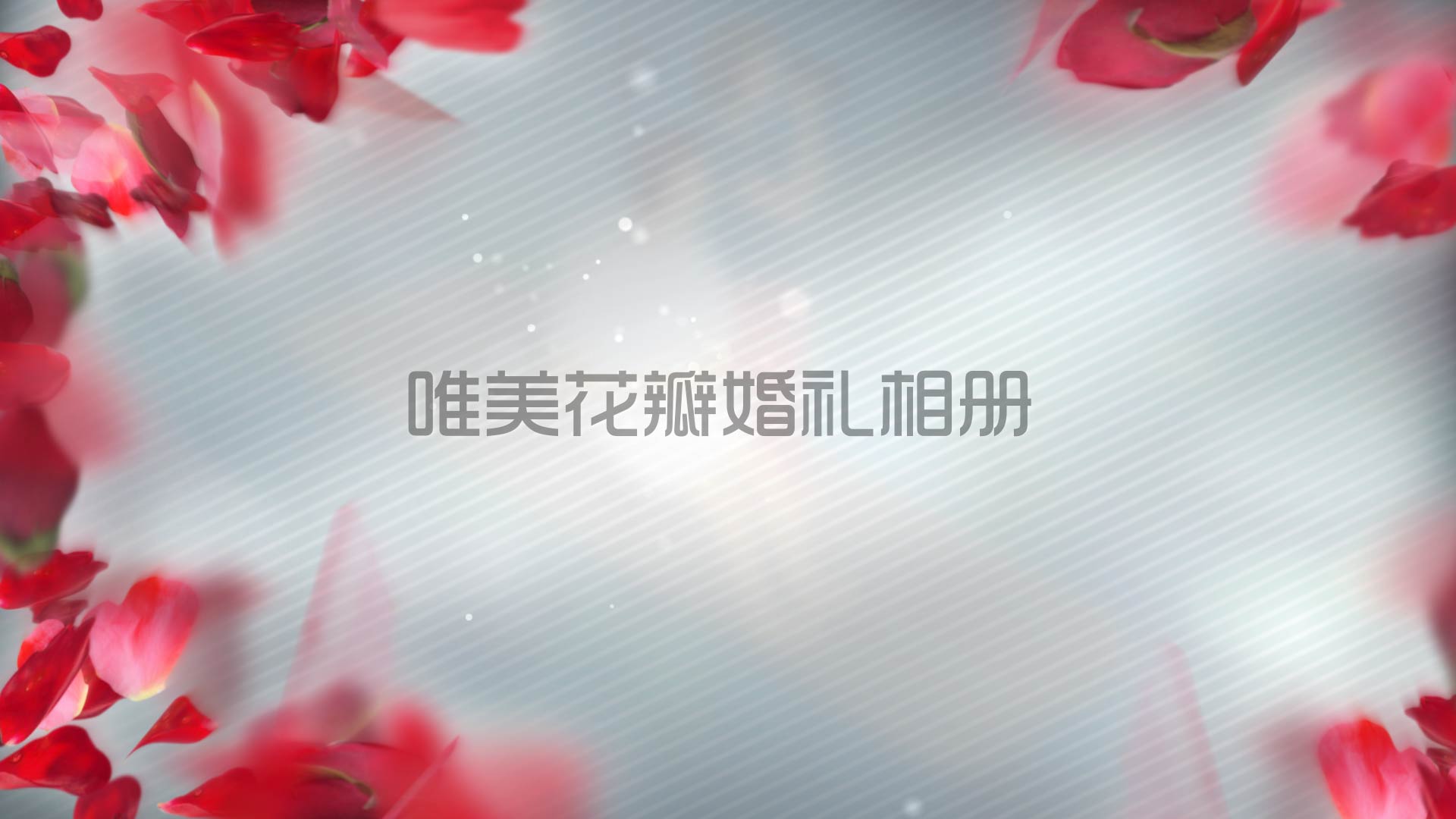 浪漫玫瑰花瓣爱情婚礼视频AE模板视频的预览图