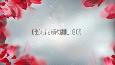 浪漫玫瑰花瓣爱情婚礼视频AE模板视频的预览图