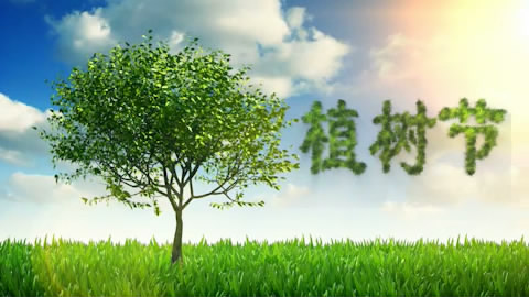 绿色自然植树节宣传片ae模板13视频的预览图