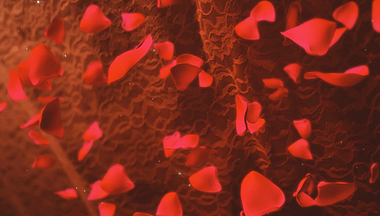 玫瑰花瓣展示粒子唯美内容lED无限循环视频的预览图