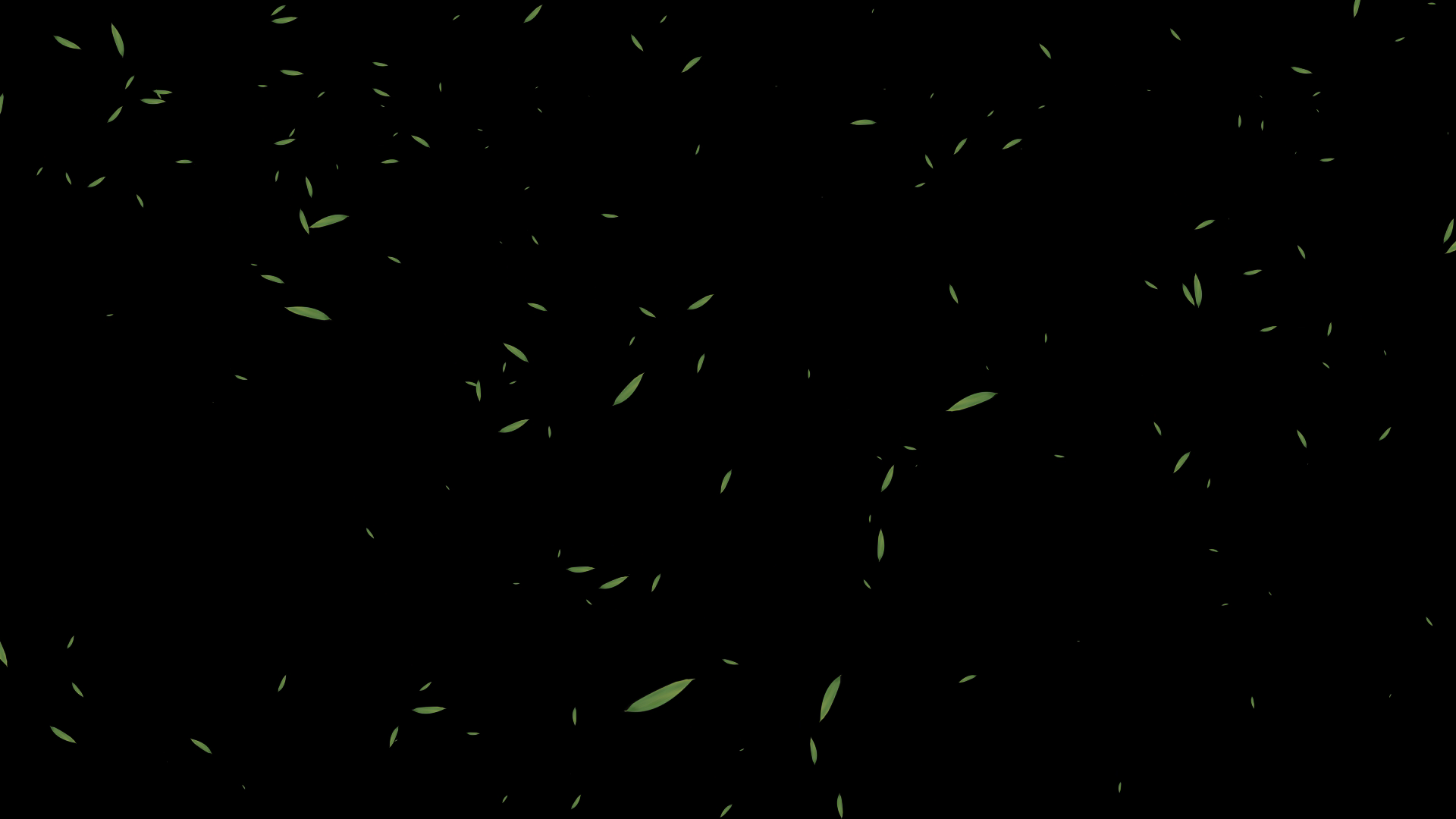 透明背景绿叶飘落背景模板视频的预览图