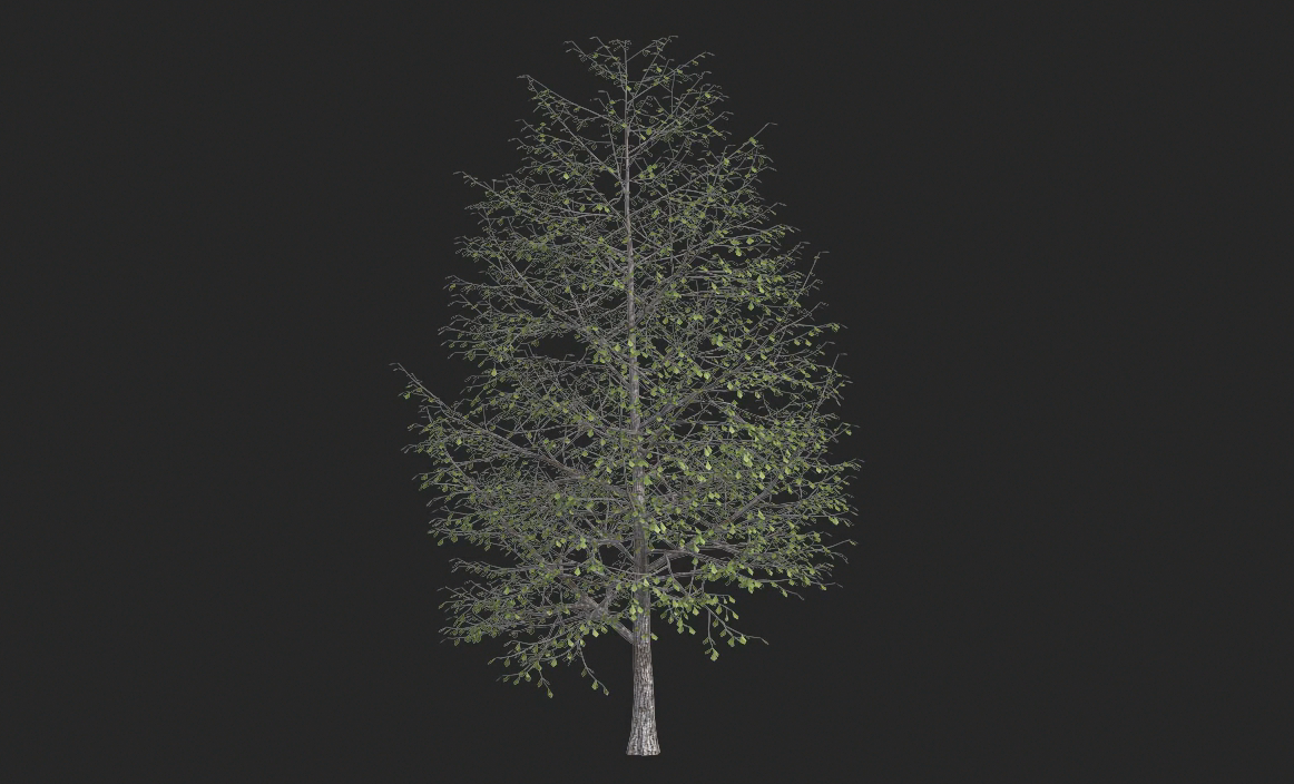 树木生长后期视频透明通道特效素材视频的预览图