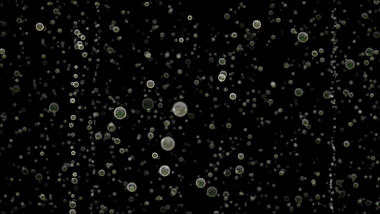 梦幻气泡上升透明通道背景素材视频的预览图