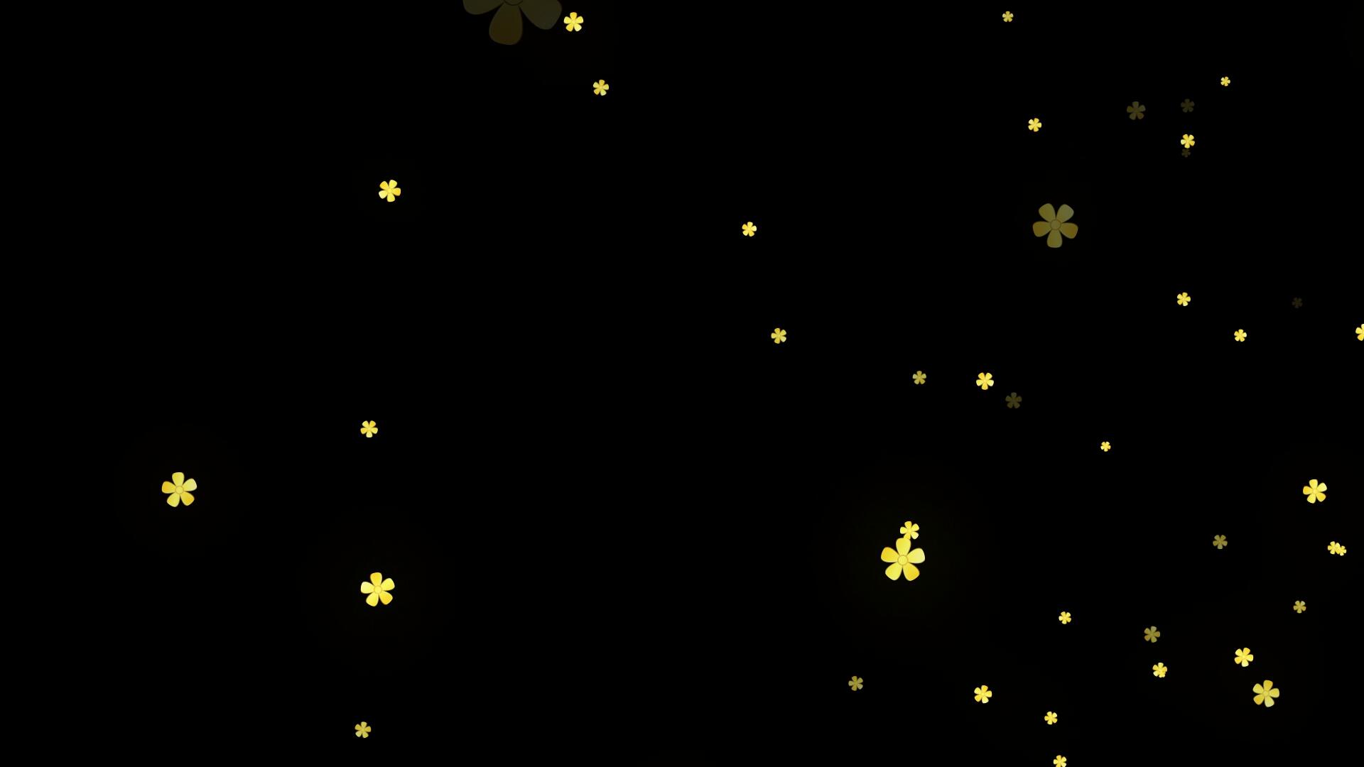 金色梅花飘落透明通道背景素材视频的预览图