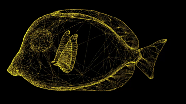 大气3D热带鱼模型粒子AE模板视频的预览图