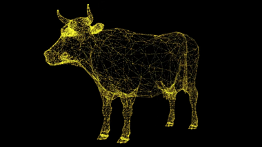 3D金牛模型粒子AE模板视频的预览图