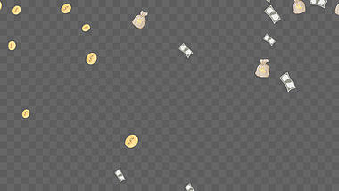 创意钱币钱袋金币漂浮ae模板视频的预览图