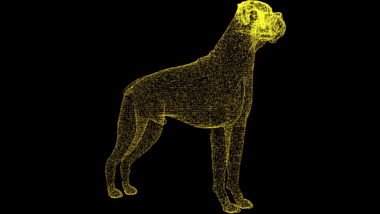 3D金色狗模型粒子AE模板视频的预览图