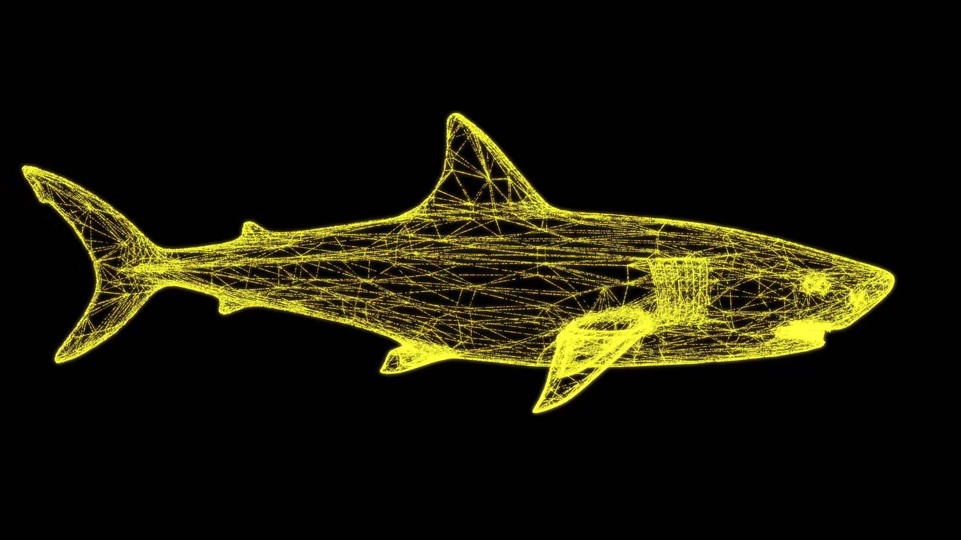 原创3D鲨鱼模型粒子AE模板视频的预览图
