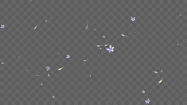 唯美清晰花朵叶子漂浮ae模板视频的预览图