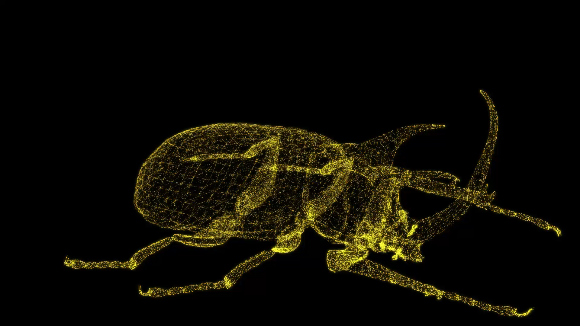 大气3D甲虫模型粒子AE模板视频的预览图
