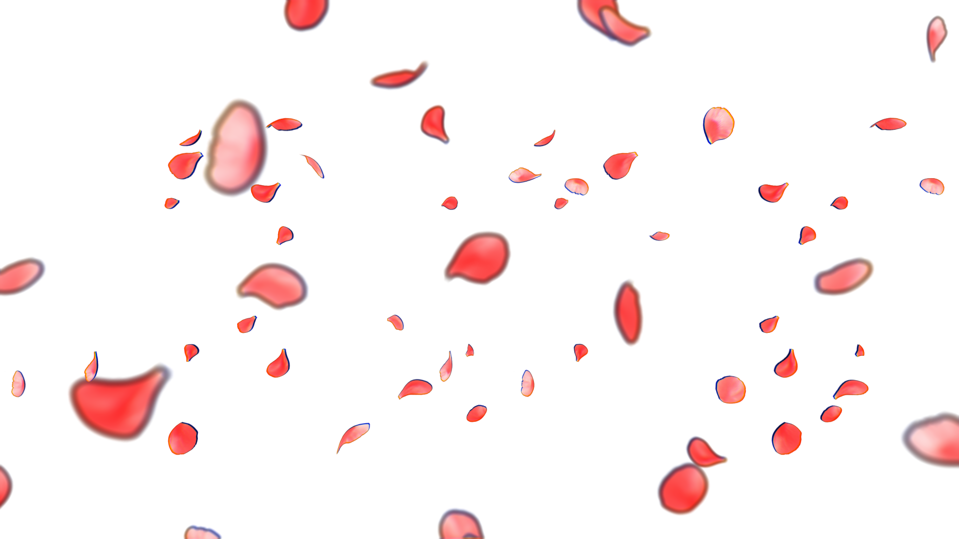 粉红花瓣悬浮飘散透明通道视频素材视频的预览图