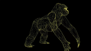 3D猩猩动物模型粒子AE模板视频的预览图