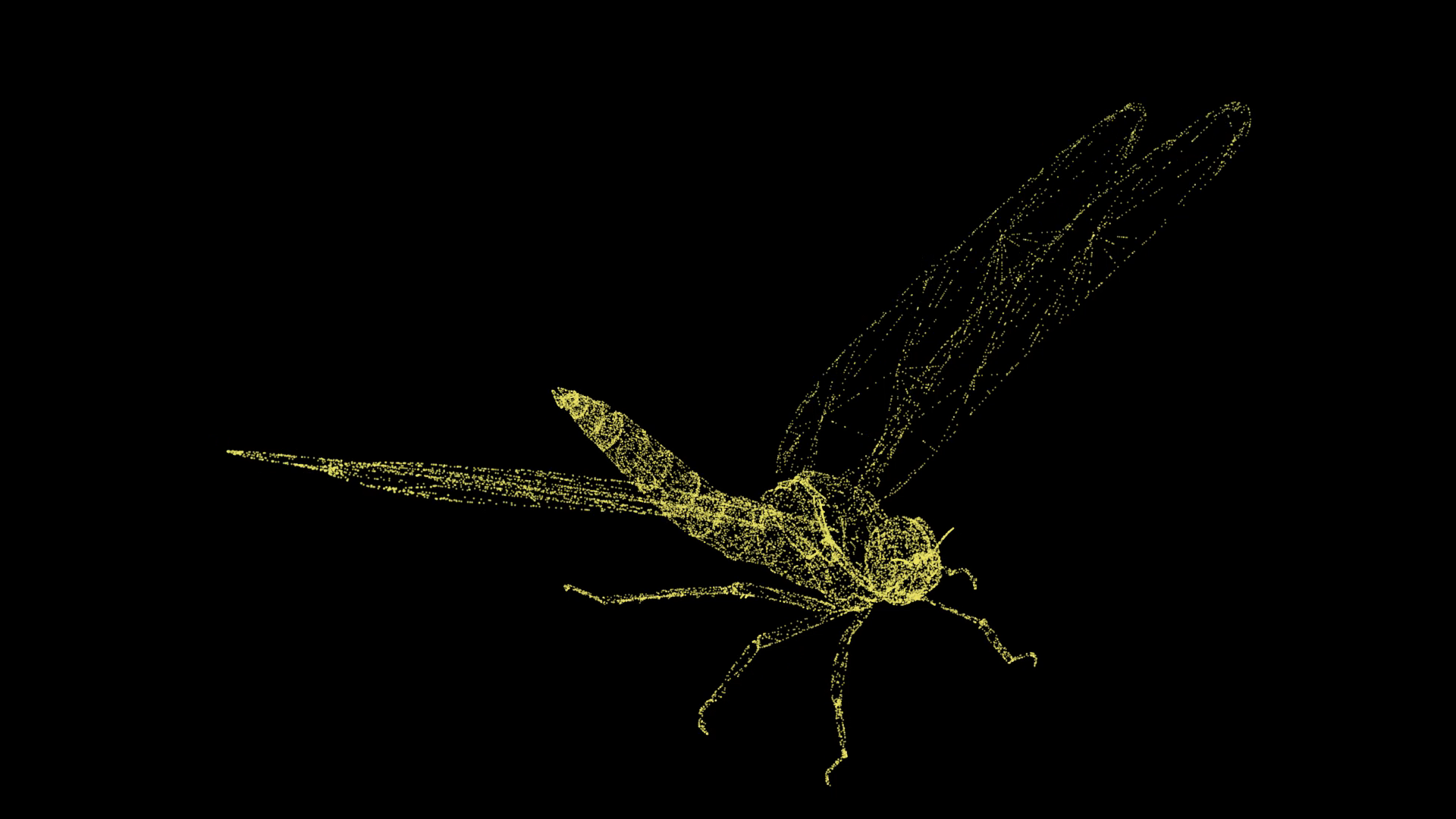 大气3D蜻蜓模型粒子AE模板视频的预览图