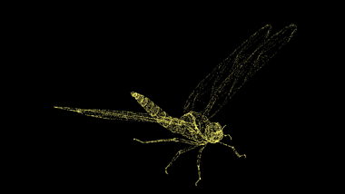 大气3D蜻蜓模型粒子AE模板视频的预览图