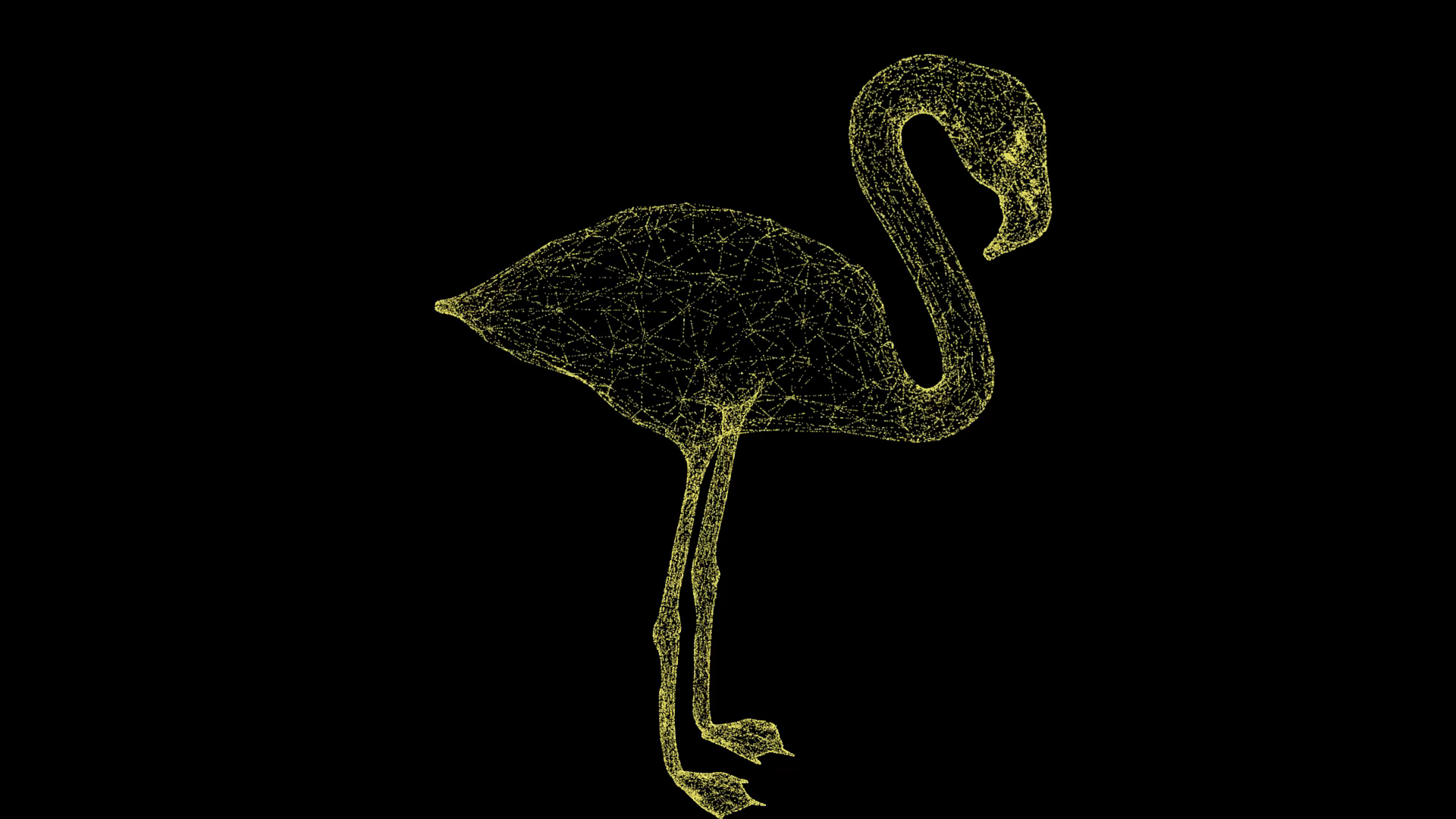 3D火烈鸟动物模型粒子AE模板视频的预览图