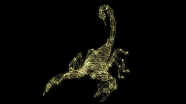 3D蝎子动物模型粒子AE模板视频的预览图