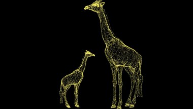 3D长颈鹿动物模型粒子AE模板视频的预览图