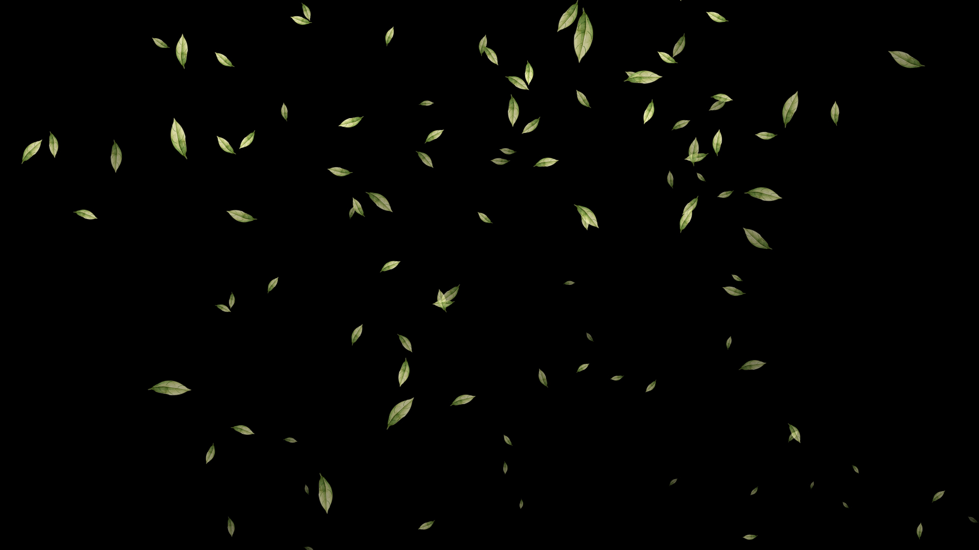 清新水彩绿色树叶飘落透明通道视频素材视频的预览图