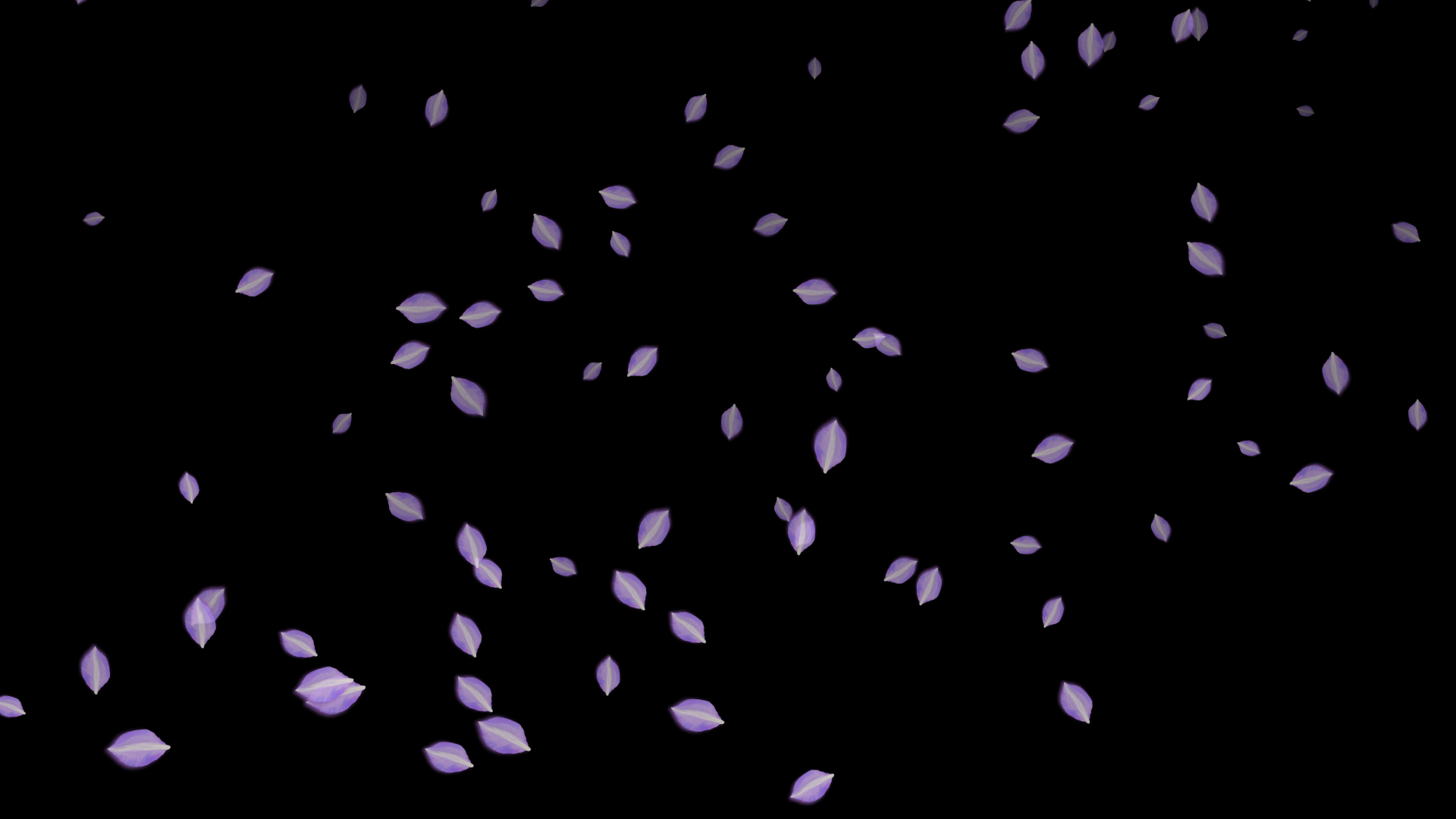唯美紫色水彩花瓣飘散透明通道背景视频素材视频的预览图