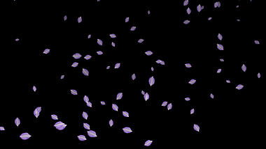 唯美紫色水彩花瓣飘散透明通道背景视频素材视频的预览图
