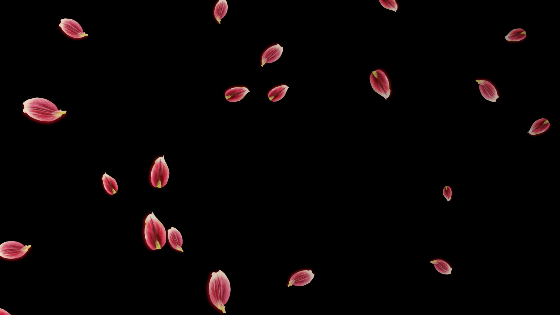 唯美水彩花瓣飘散透明通道背景素材视频的预览图