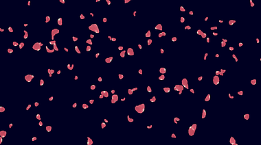粒子花瓣飘落透明通道素材视频的预览图