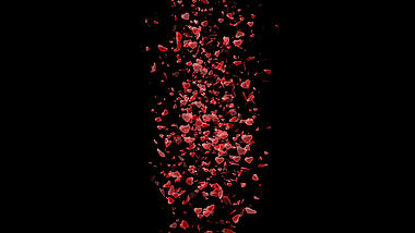 唯美爱心花瓣飘散上升透明通道视频素材视频的预览图