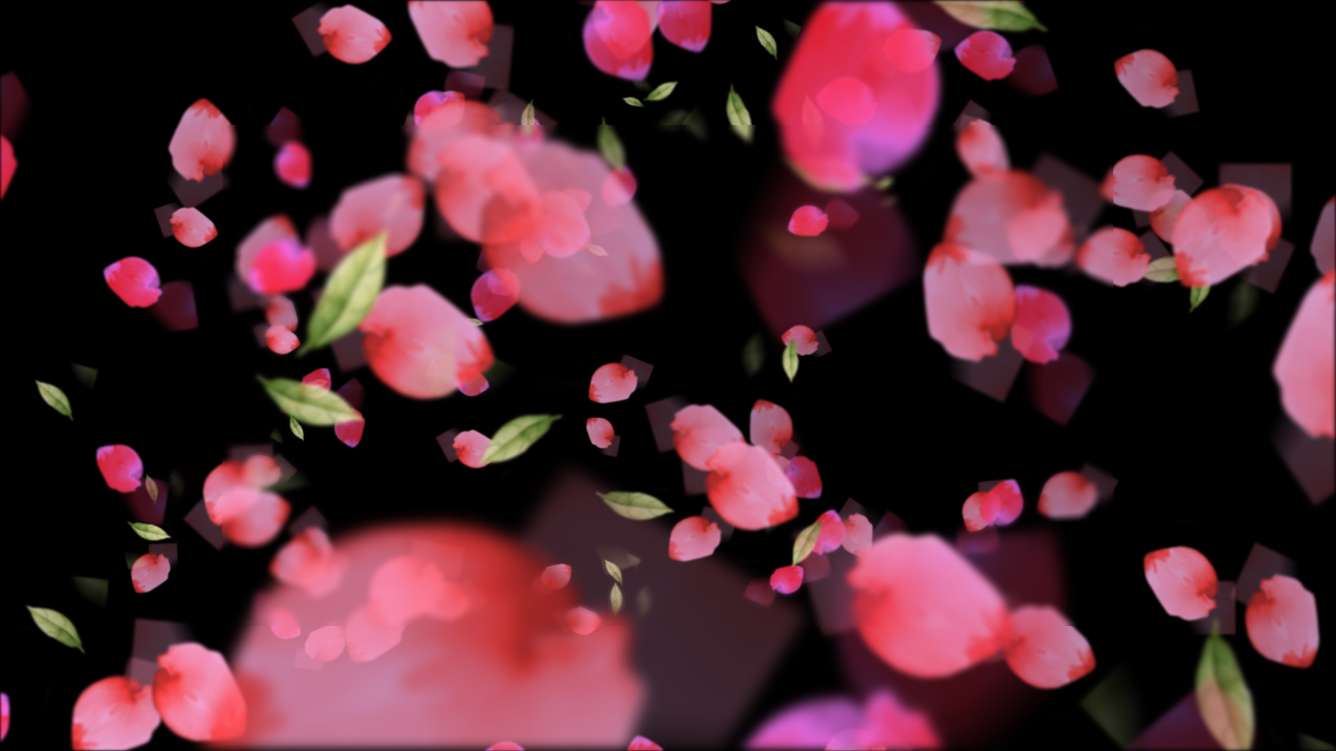 唯美粉红水彩花瓣汇聚心形透明通道视频素材视频的预览图