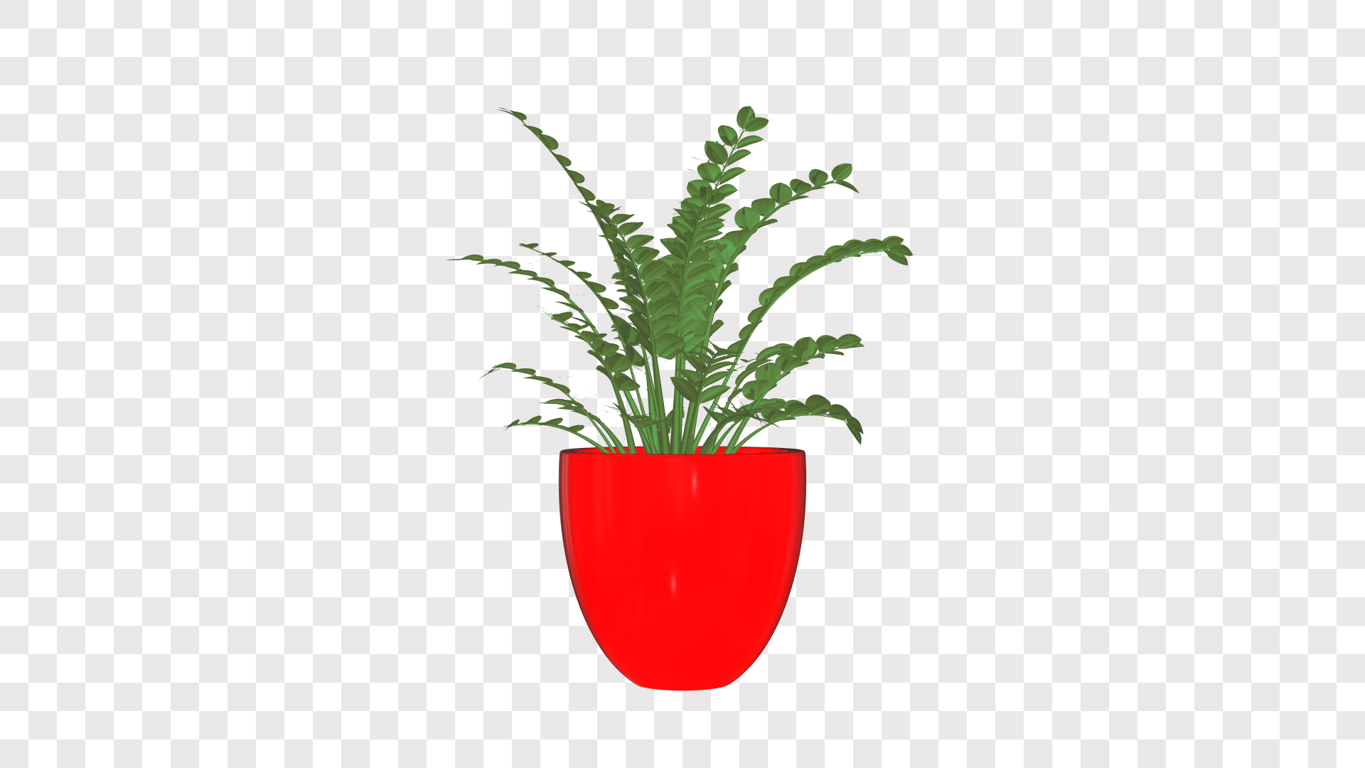 花草植物盆栽三维动画挂件ae模板视频的预览图