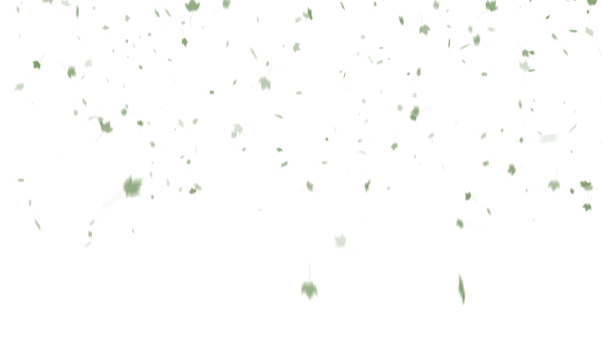 绿色落叶枫叶飘落带通道素材视频视频的预览图
