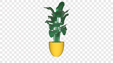 植物花草盆栽三维动画挂件ae模板视频的预览图