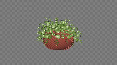 绿色盆栽植物动画挂件ae模板视频的预览图