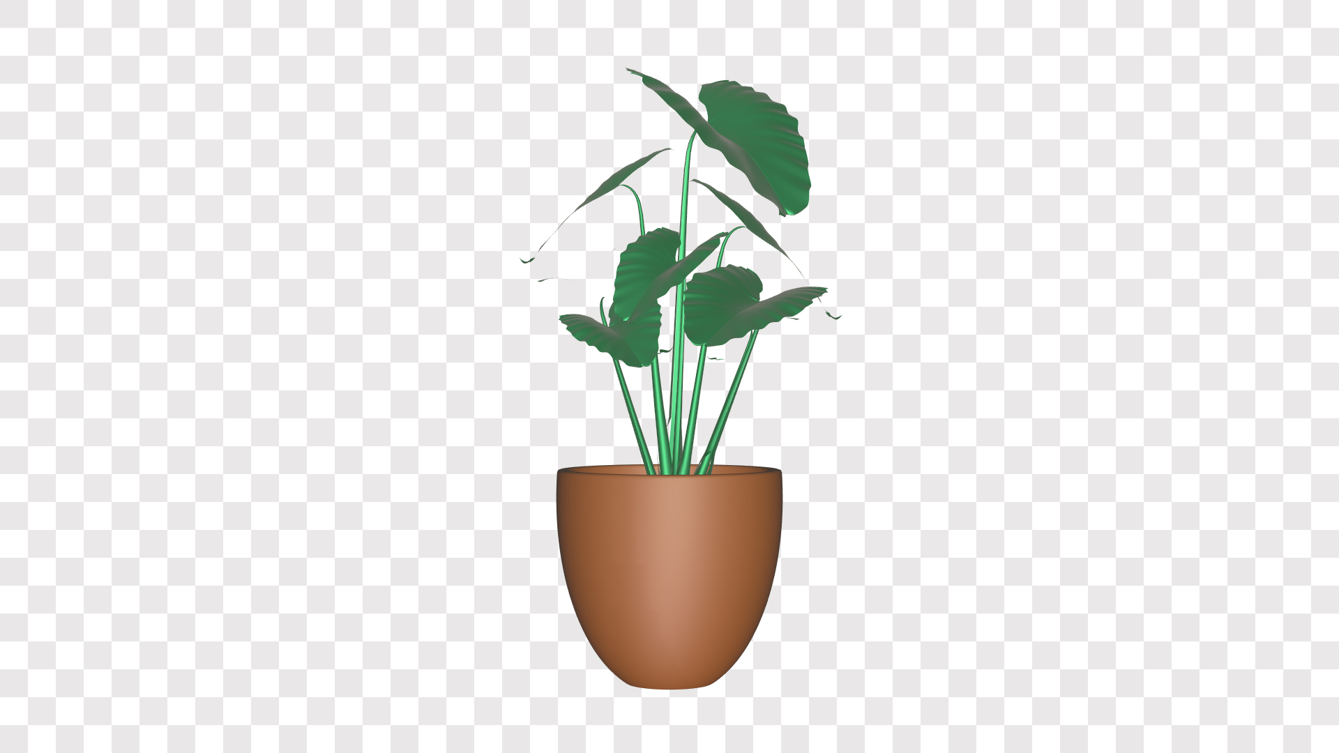 植物花草盆栽三维动画挂件ae模板视频的预览图