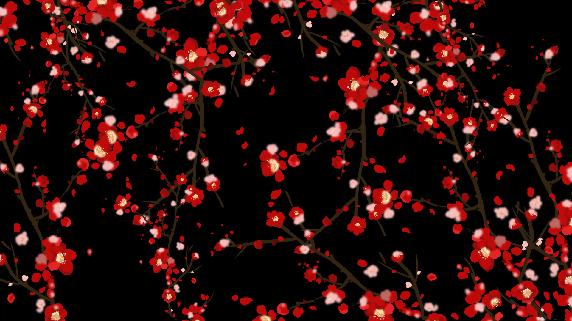 梅花树枝动态效果带透明通道挂件素材视频的预览图