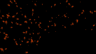 黄色枫叶飘动后期特效挂件素材视频的预览图
