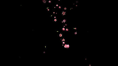 唯美水彩花朵樱花飘散透明通道视频素材视频的预览图