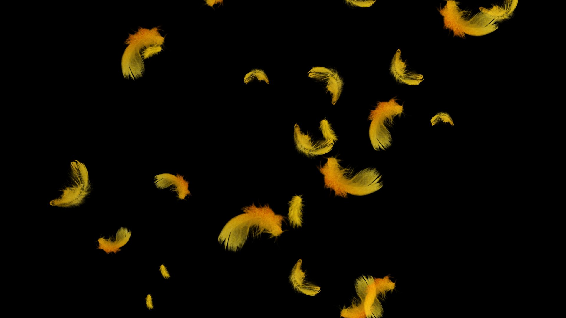 炫酷金色羽毛飘落透明通道视频素材视频的预览图