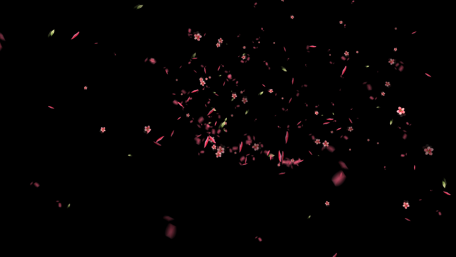唯美水彩桃花花瓣旋转飘散透明通道视频素材视频的预览图
