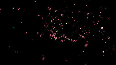 唯美水彩桃花花瓣旋转飘散透明通道视频素材视频的预览图