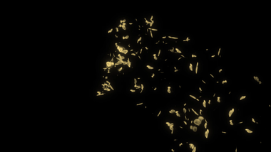 原创金色蝴蝶成群飞舞AE模板视频的预览图