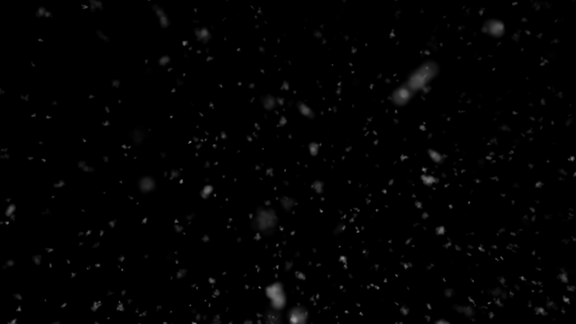 飘动雪花装饰视频06视频的预览图