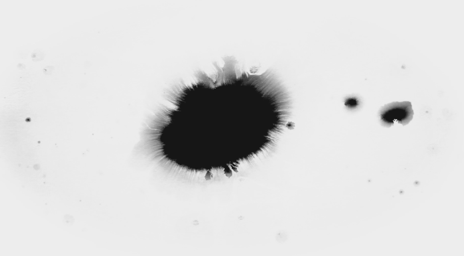 水墨黑白遮罩后期动态内容演绎元素动态视频的预览图