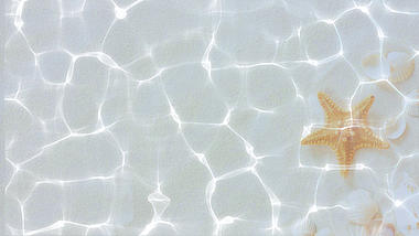 唯美白色沙滩海星ae模板视频的预览图