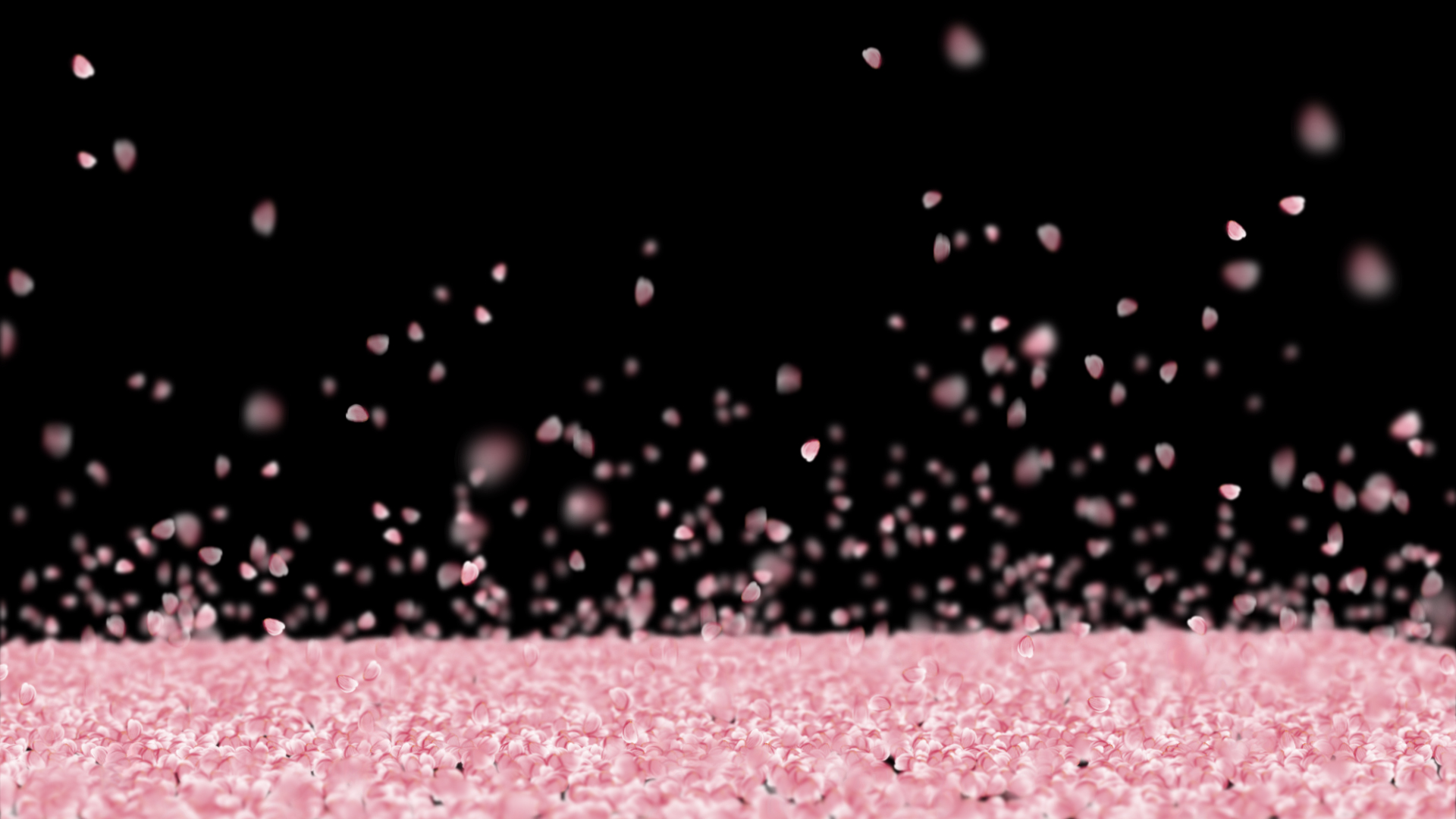 遍地粉红桃花花瓣汇聚消散透明通道视频素材视频的预览图