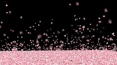 遍地粉红桃花花瓣汇聚消散透明通道视频素材视频的预览图