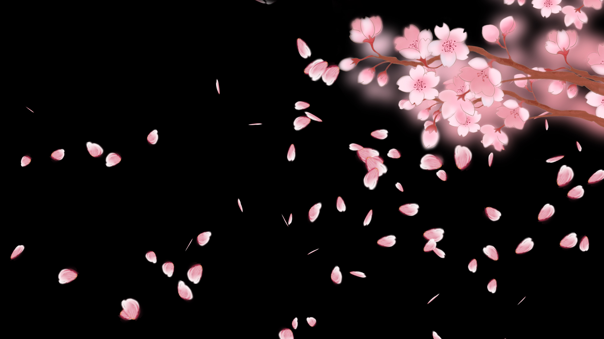 唯美浪漫樱花飘落透明通道视频素材视频的预览图