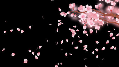 唯美浪漫樱花飘落透明通道视频素材视频的预览图