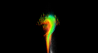 粒子线条流体内容后期元素动态展示演绎视频的预览图